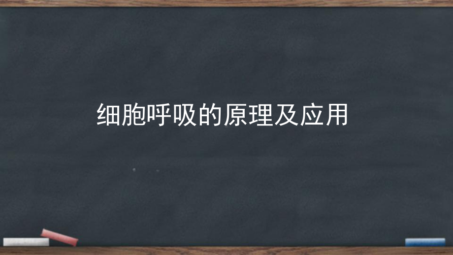 2022新人教版（2019）《高中生物》必修第一册复习3：细胞的代谢（2）（ppt课件）.pptx_第3页