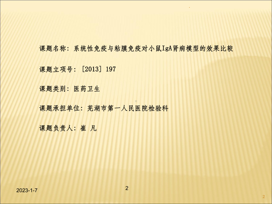 系统性免疫与粘膜免疫对小鼠IgA肾病模型的效果比较课件.ppt_第2页