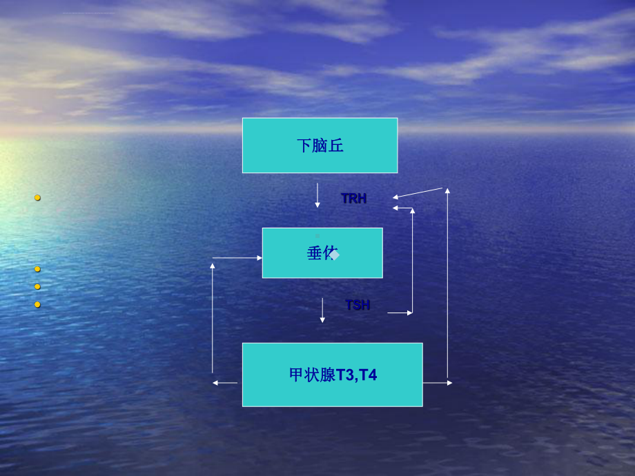 甲状腺功能测定临床意义课件.ppt_第3页