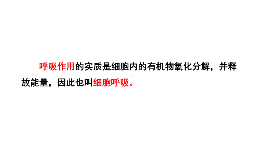 2022新人教版（2019）《高中生物》必修第一册5.3细胞呼吸的原理和应用（ppt课件） .pptx_第3页