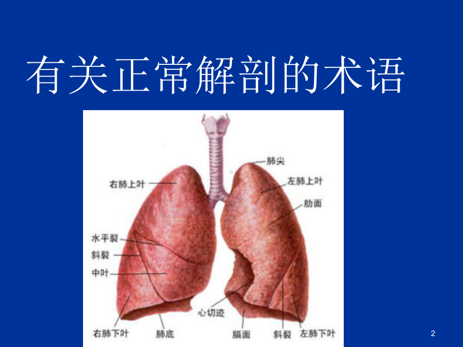 肺部CT影像征象图解(同名888)课件.ppt_第2页