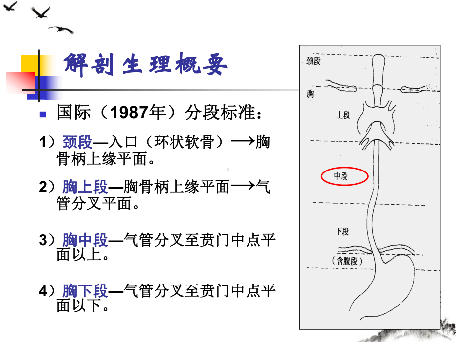 食管疾病病人的护理课件整理.pptx_第2页