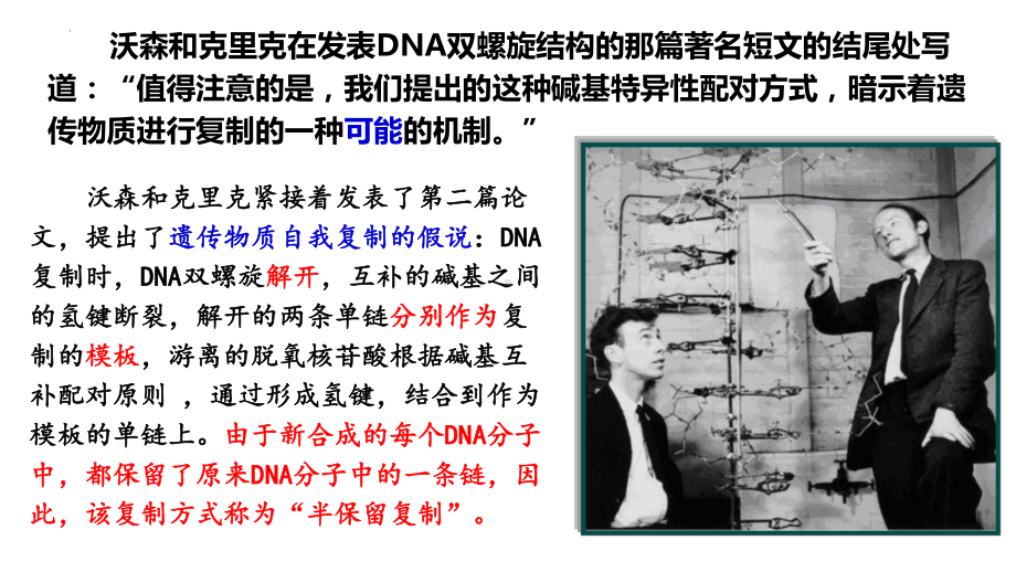 3－3DNA的复制ppt课件-2022新人教版（2019）《高中生物》必修第二册.pptx_第1页