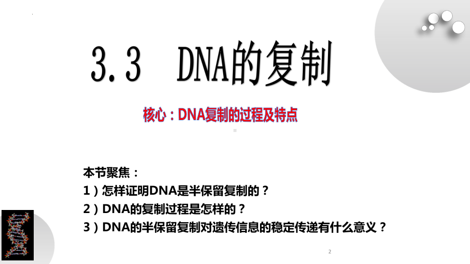 3－3DNA的复制ppt课件-2022新人教版（2019）《高中生物》必修第二册.pptx_第2页