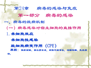 病毒感染抗感染24-课件.ppt