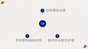 留置导尿的护理及并发症课件.pptx