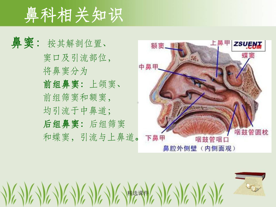 鼻窦相关知识及术前术后护理课件.ppt_第2页