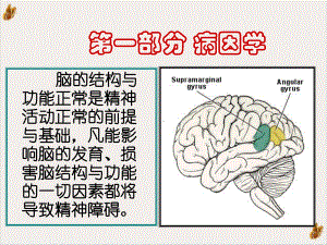 精神科护理精神疾病基础课件.pptx