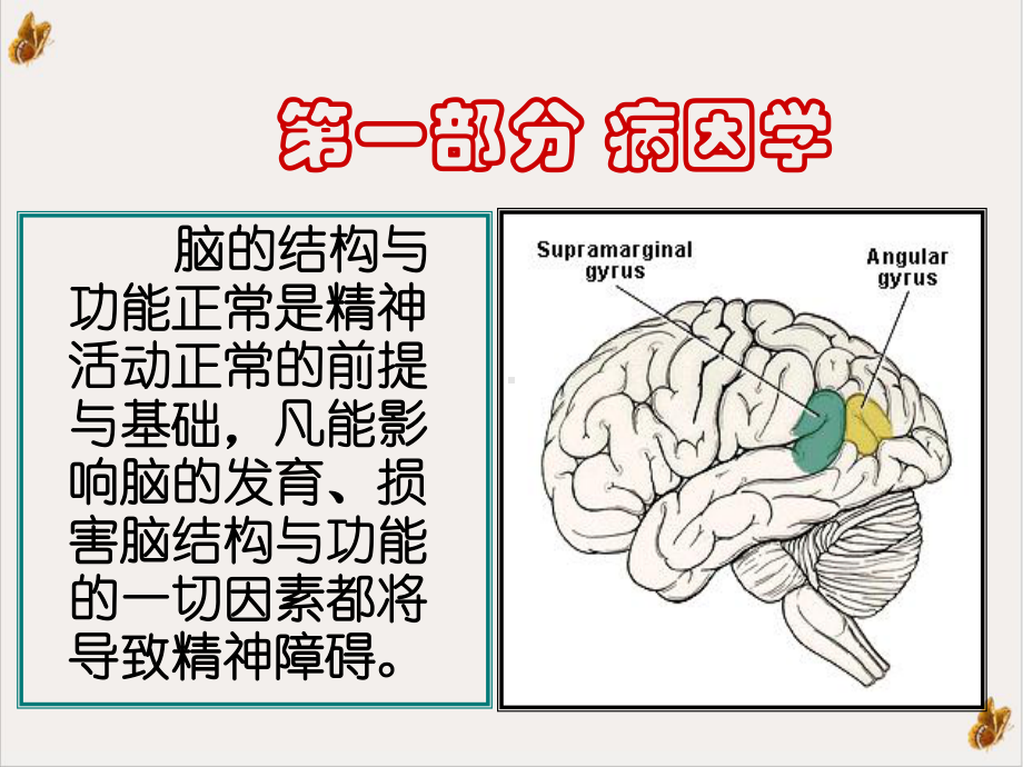 精神科护理精神疾病基础课件.pptx_第1页