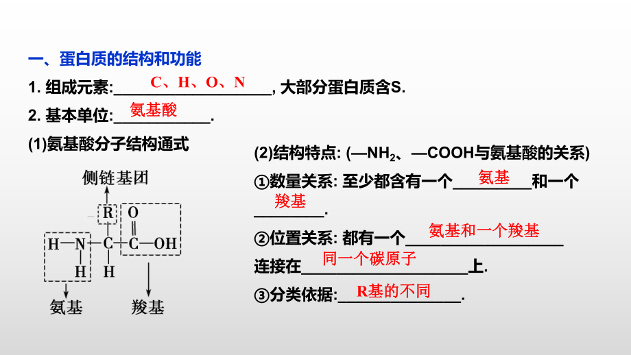 2022新苏教版（2019）《高中生物》必修第一册2.生命活动的主要承担者-蛋白质复习（ppt课件）.pptx_第2页