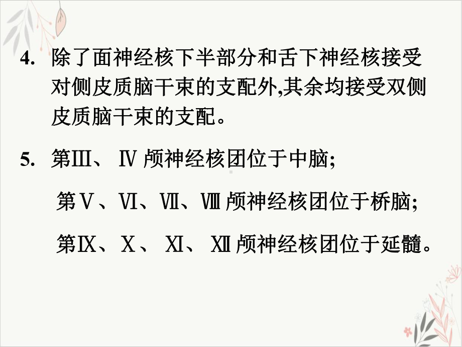 颅神经解剖及定位诊断课件.pptx_第3页