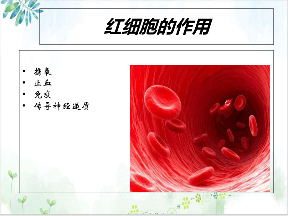 输血指南及临床应用1课件.ppt_第3页