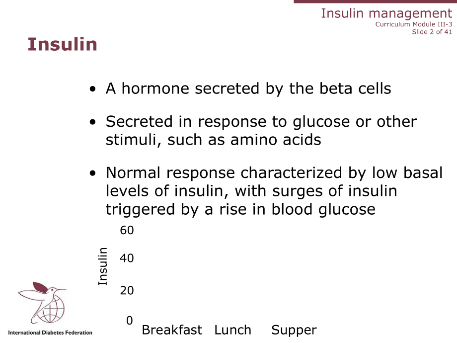 糖尿病教育权威英文3-2Insulin课件.ppt_第2页