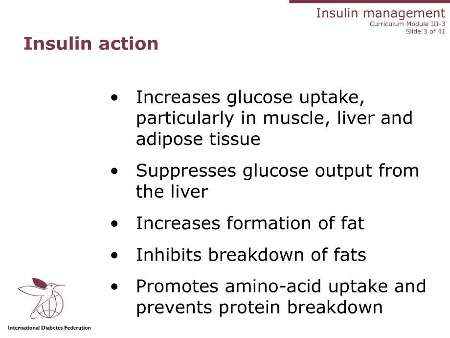 糖尿病教育权威英文3-2Insulin课件.ppt_第3页