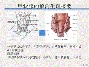 甲状腺疾病查房标准课件.pptx