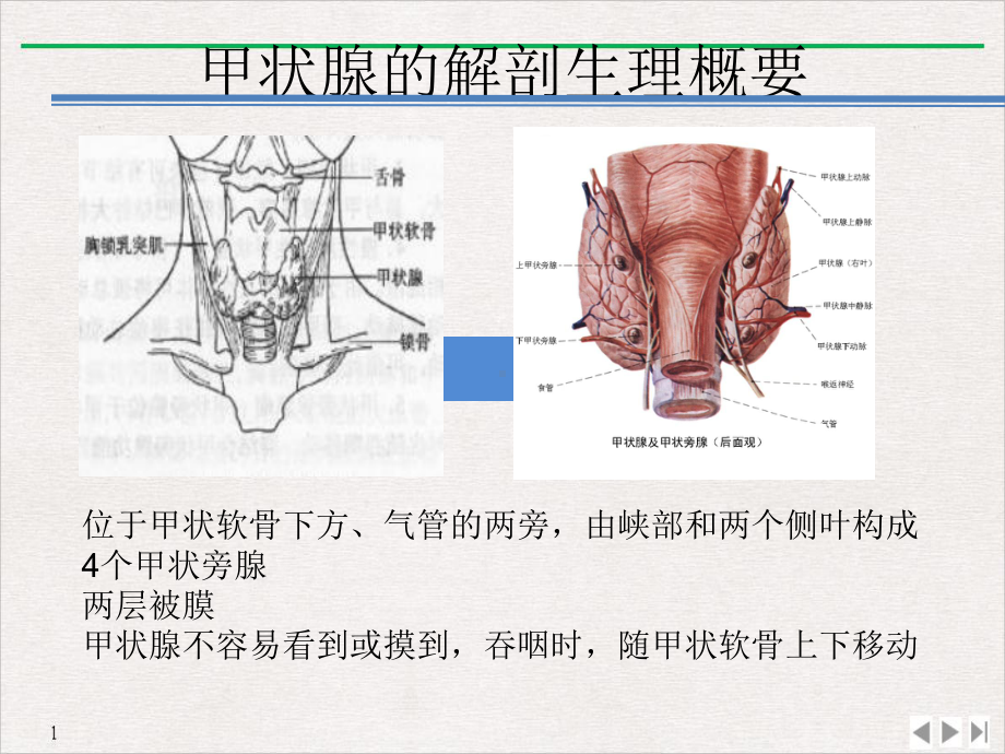 甲状腺疾病查房标准课件.pptx_第1页