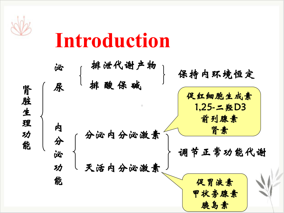 肾功能不全学时课件.ppt_第3页