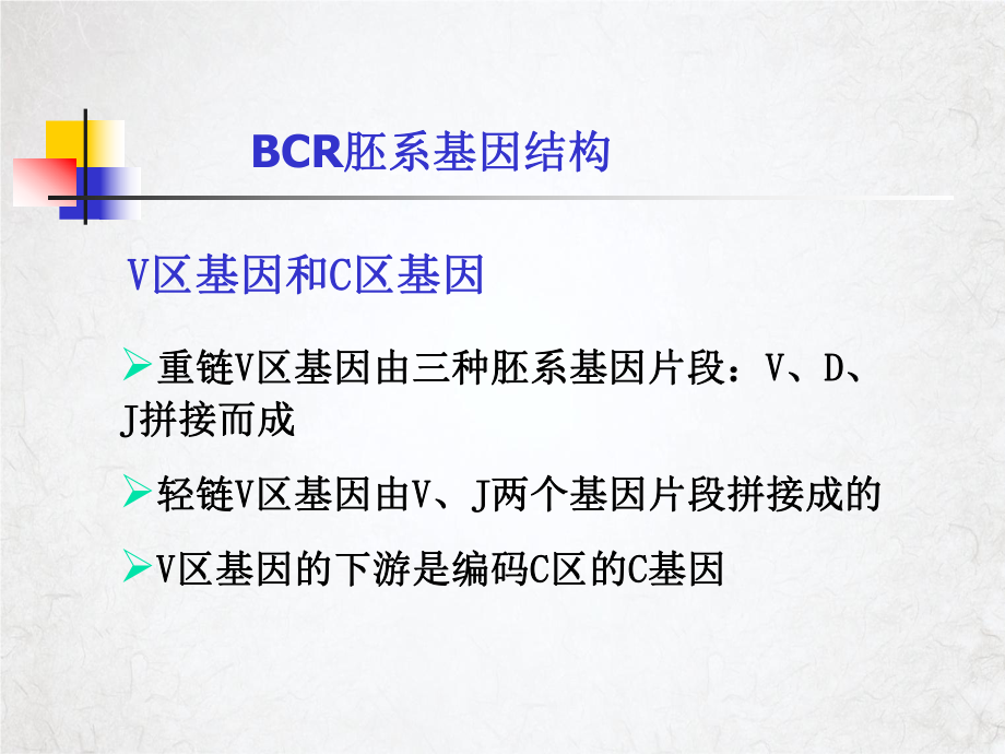 特异性免疫应答的特点及其机制课件.pptx_第3页