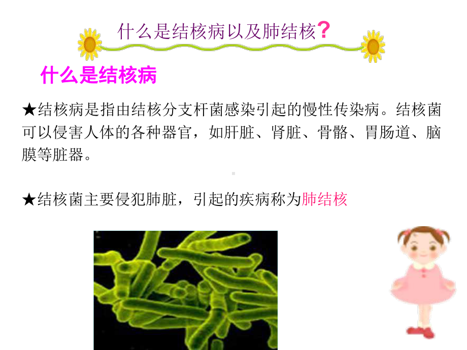 郎岱一小肺结核及健康教育剖析课件.ppt_第3页