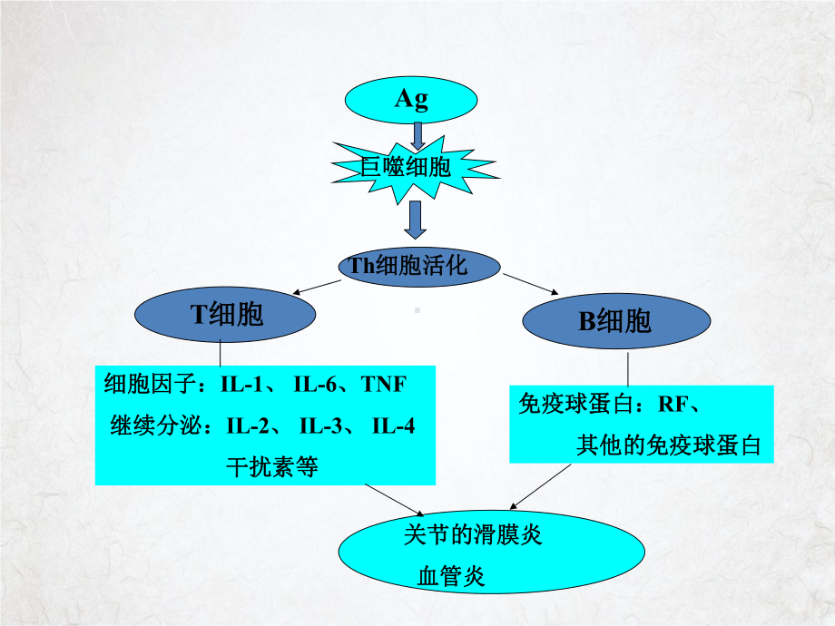 类风湿关节炎的临床治疗师强华课件.pptx_第3页