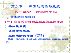 病毒感染抗感染课件.ppt