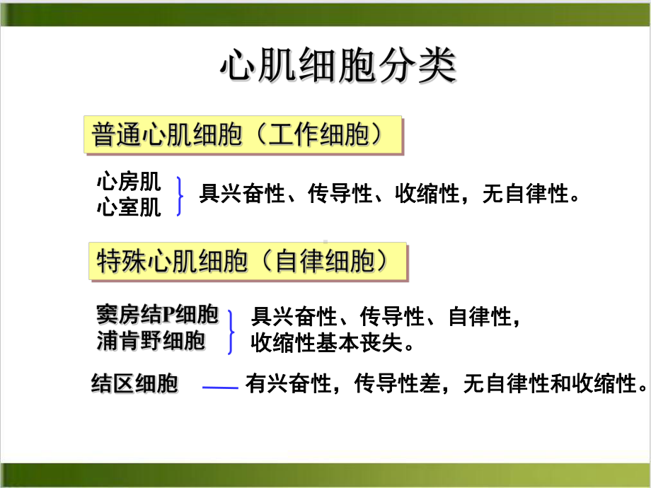 第四章心肌电生理及生理特性案例课件.ppt_第3页