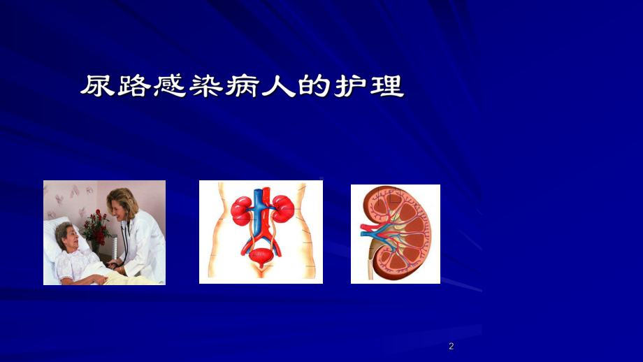 第三节尿路感染病人护理课件.ppt_第2页