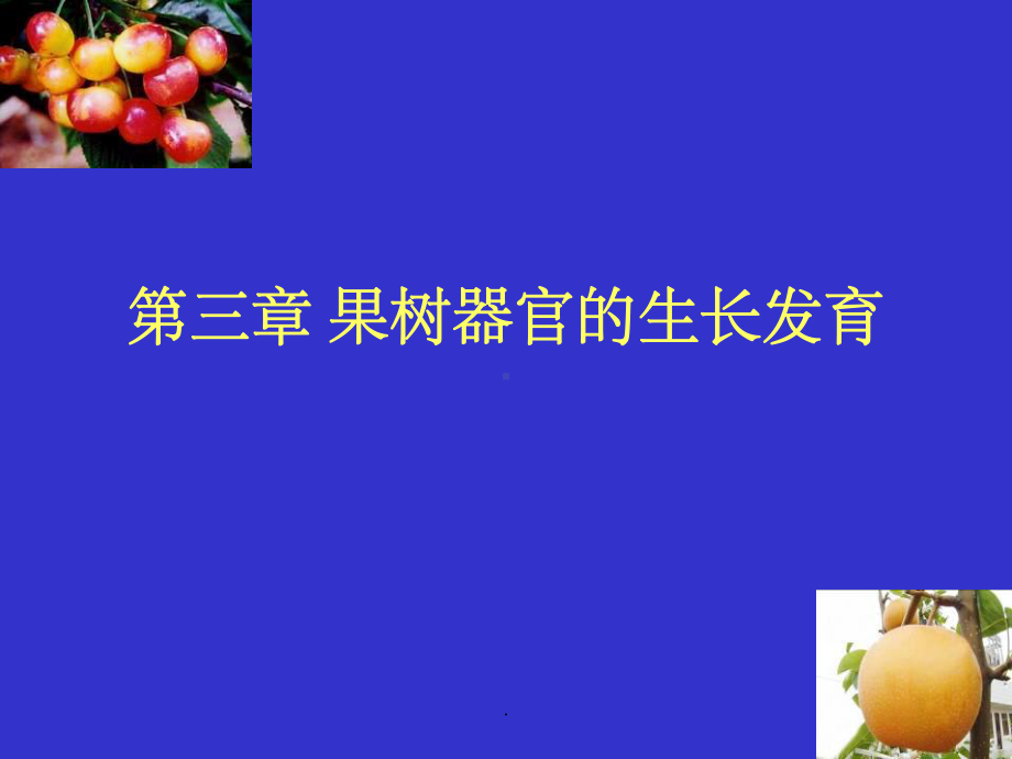 第三章-果树器官的生长发育课件.ppt_第1页