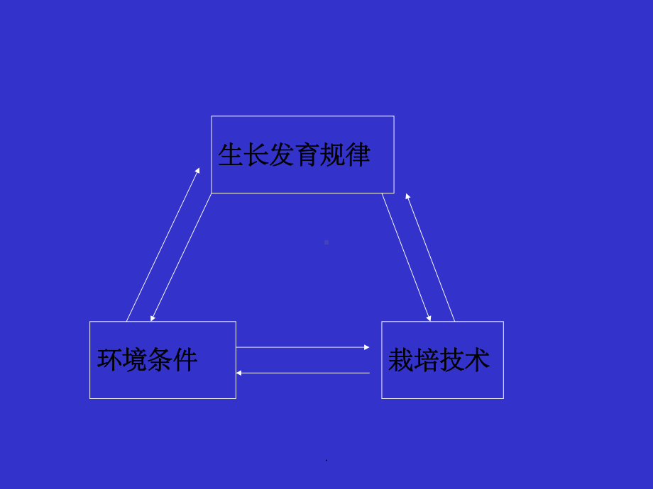 第三章-果树器官的生长发育课件.ppt_第2页