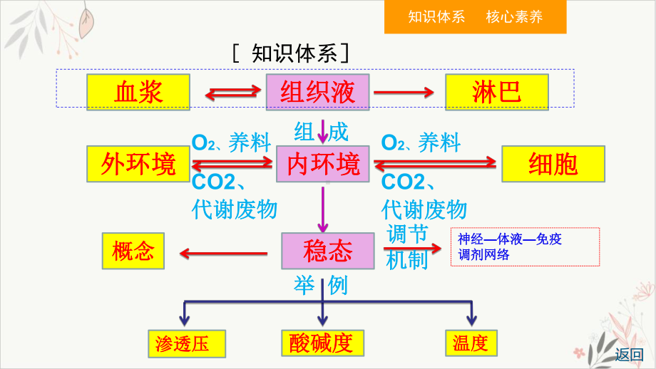 通过神经系统的调节教学课件2021届高考生物一轮复习.ppt_第3页