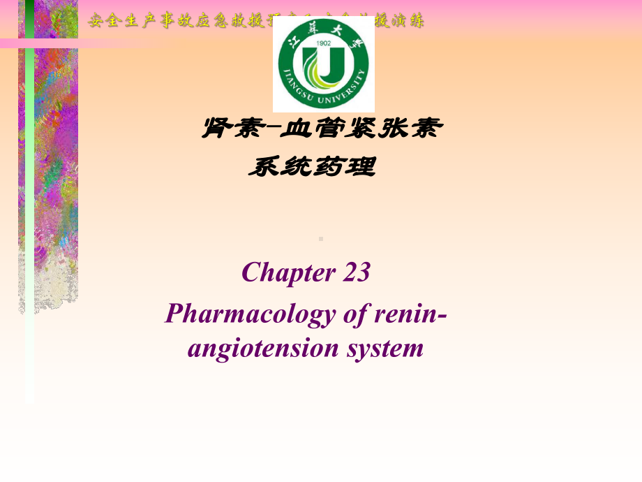 肾素血管紧张素系统药理课件(同名409).ppt_第1页