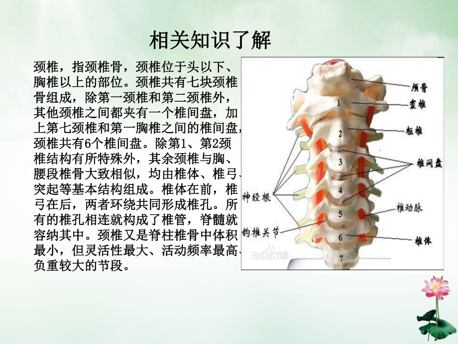 颈椎术后患者的疑难病例讨论课件.pptx_第3页