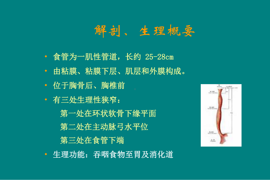 食管癌病人的护理课件(同名223).ppt_第3页