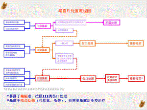 狂犬病暴露预防处置流程课件.pptx