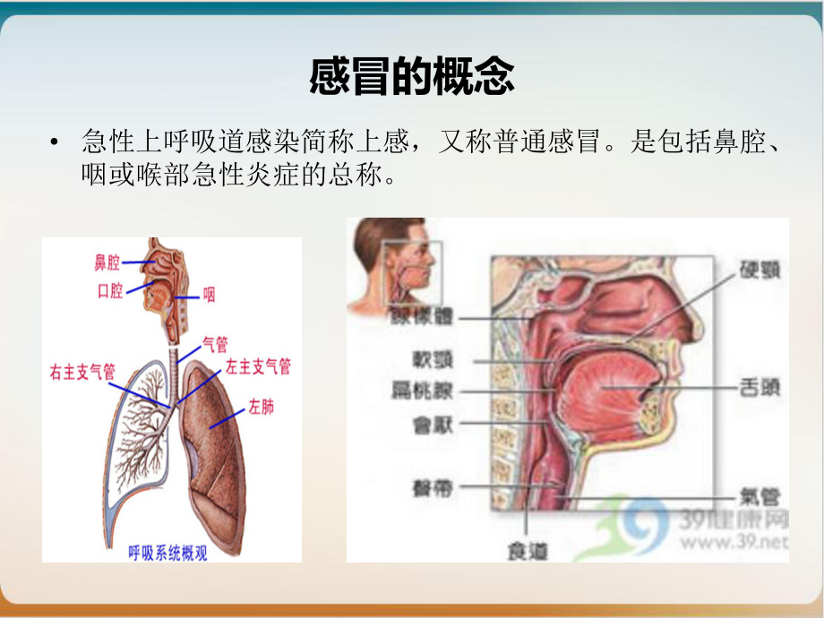 维轩中医感冒预防的健康讲座教学课件示范课件.ppt_第3页