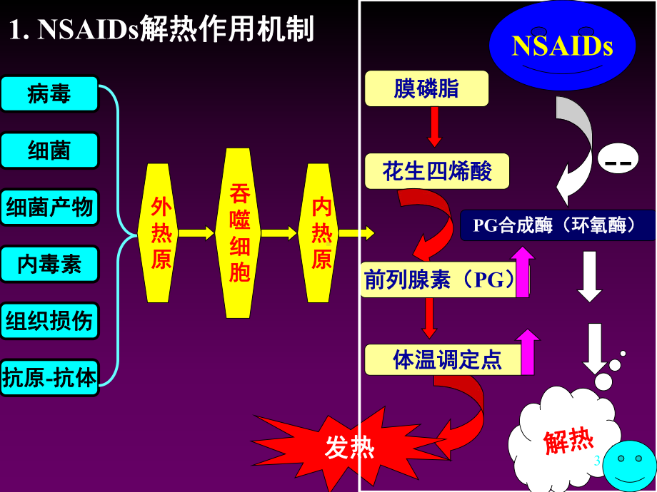 解热镇痛抗炎药护理-课件.ppt_第3页