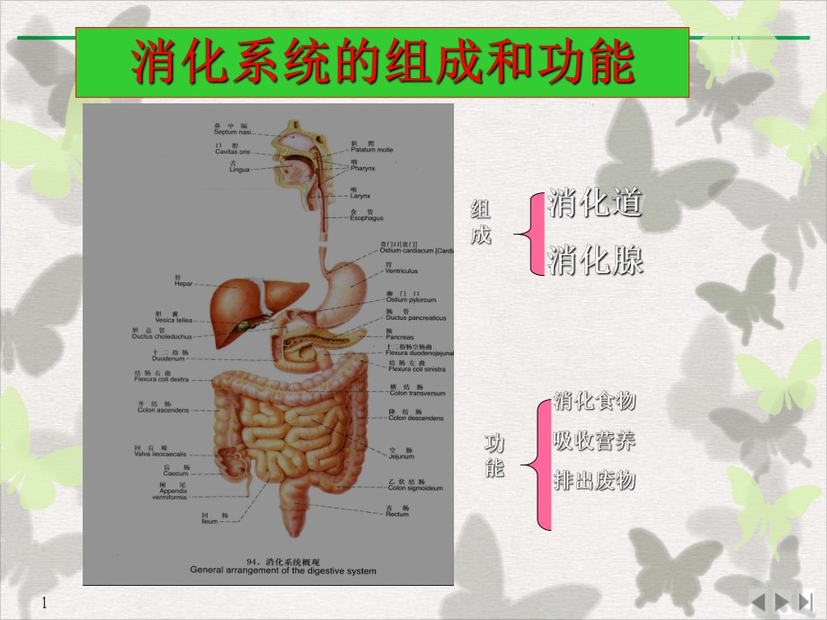 防病生活常识消化系统疾病(最新版)课件.pptx_第1页