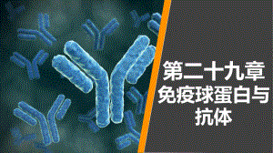 病原生物学与免疫学-第二十九章课件.ppt