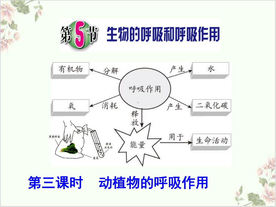 生物的呼吸和呼吸作用浙教版八级科学下册课件1.pptx_第1页