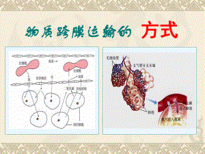 物质跨膜运输的方式讲张课件.ppt