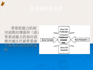 骨质疏松症的危险因素筛查及早期诊断培训课件.pptx