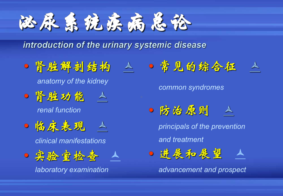 肾小管性蛋白尿课件.ppt_第2页