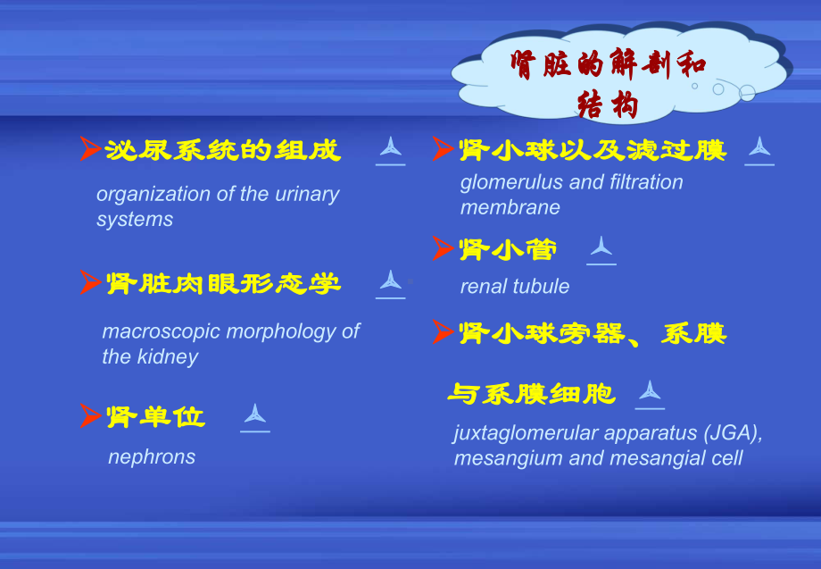 肾小管性蛋白尿课件.ppt_第3页