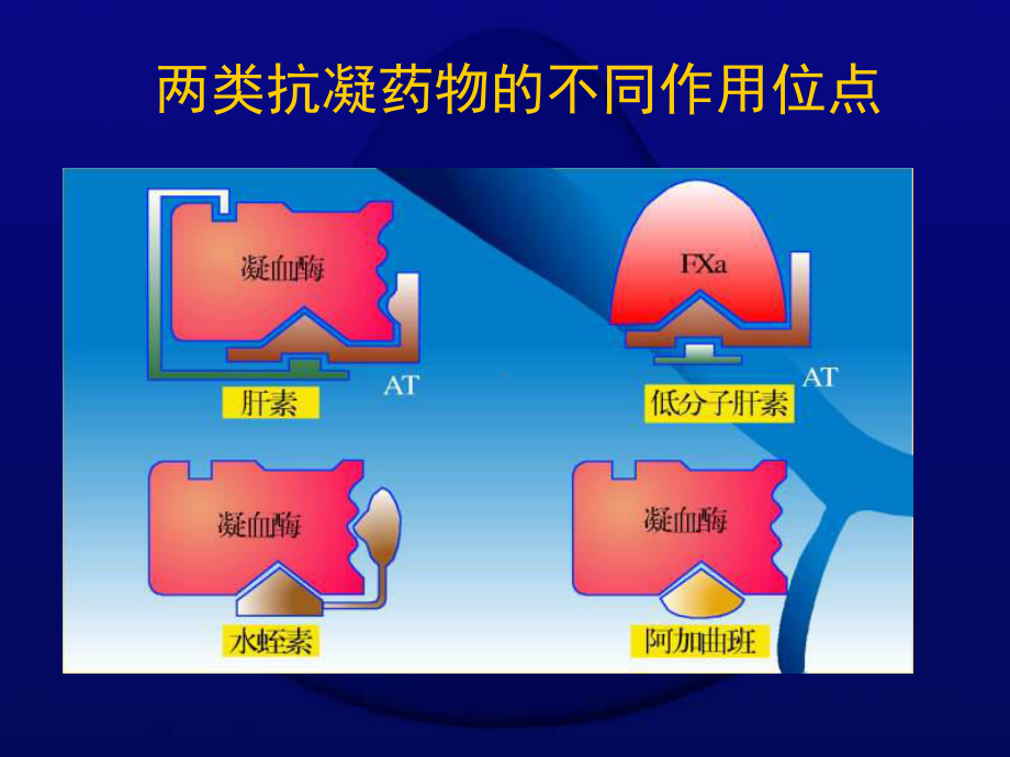 直接凝血酶抑制剂诺保思泰临床应用进展课件.ppt_第3页