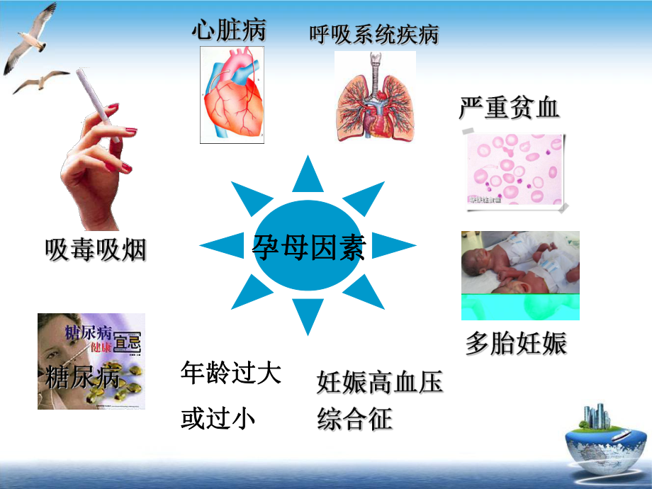 缺血缺氧脑病课件.ppt_第3页