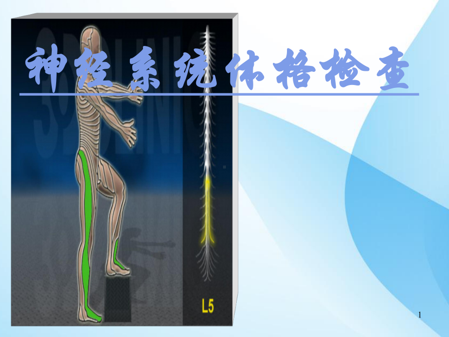 神经系统体格检查-课件.ppt_第1页