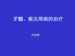 牙髓根尖病的治疗课件.ppt