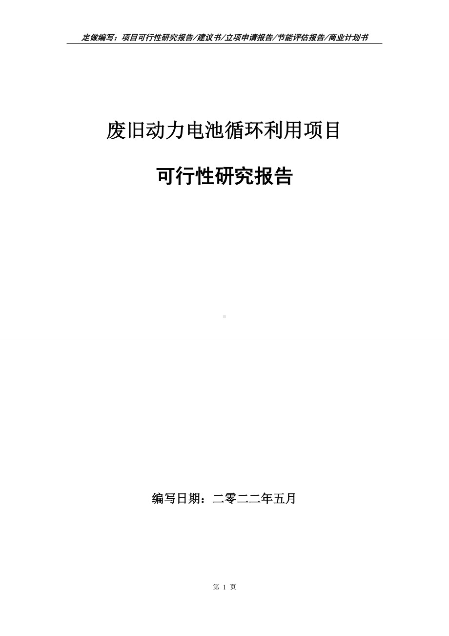 废旧动力电池循环利用项目可行性报告（写作模板）.doc_第1页