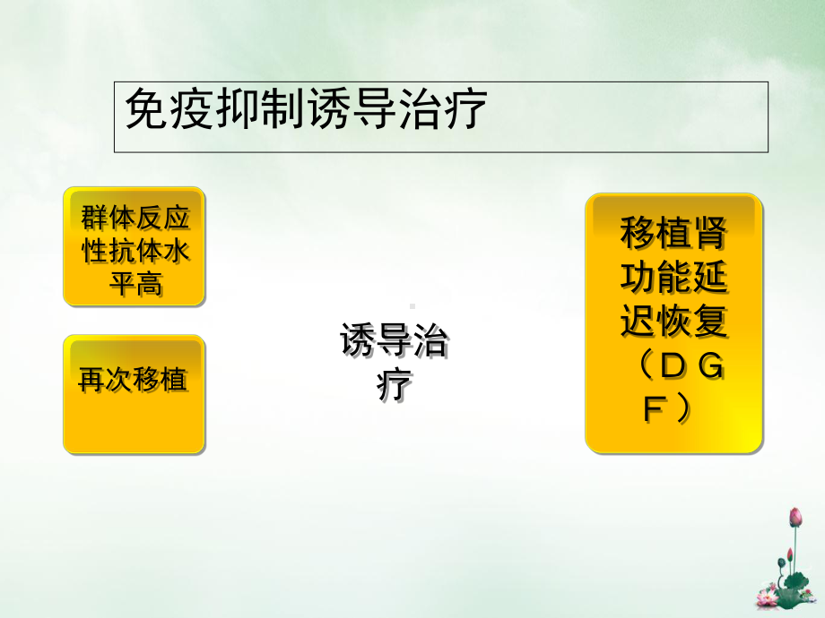 肾移植受者免疫抑制治疗指南课件.ppt_第3页