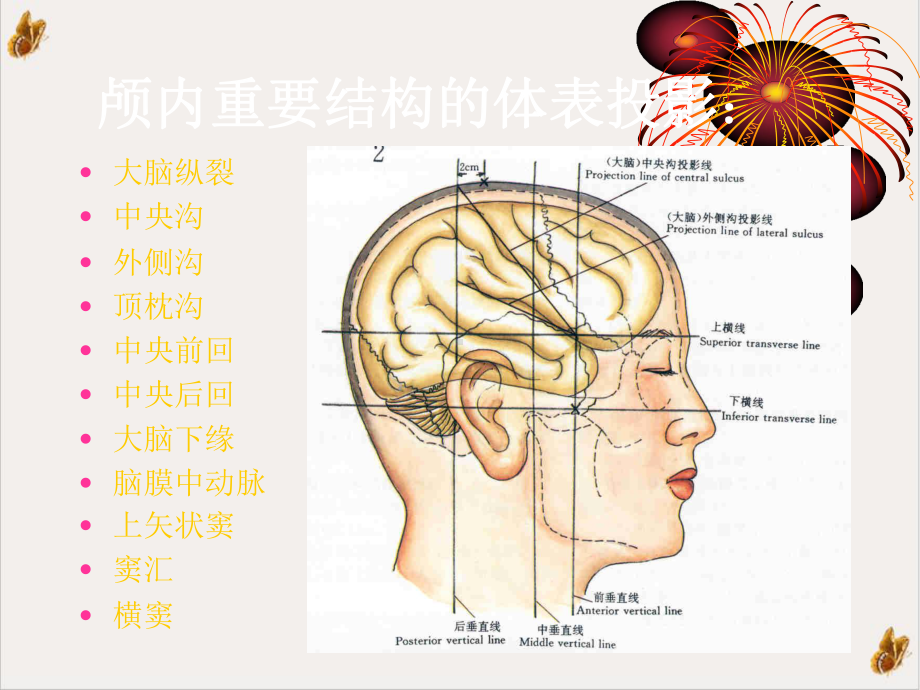 颅脑应用解剖学幻灯课件.pptx_第2页